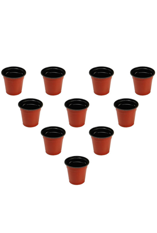 گلدان ژله ای سایز 6 بسته 50 عددی