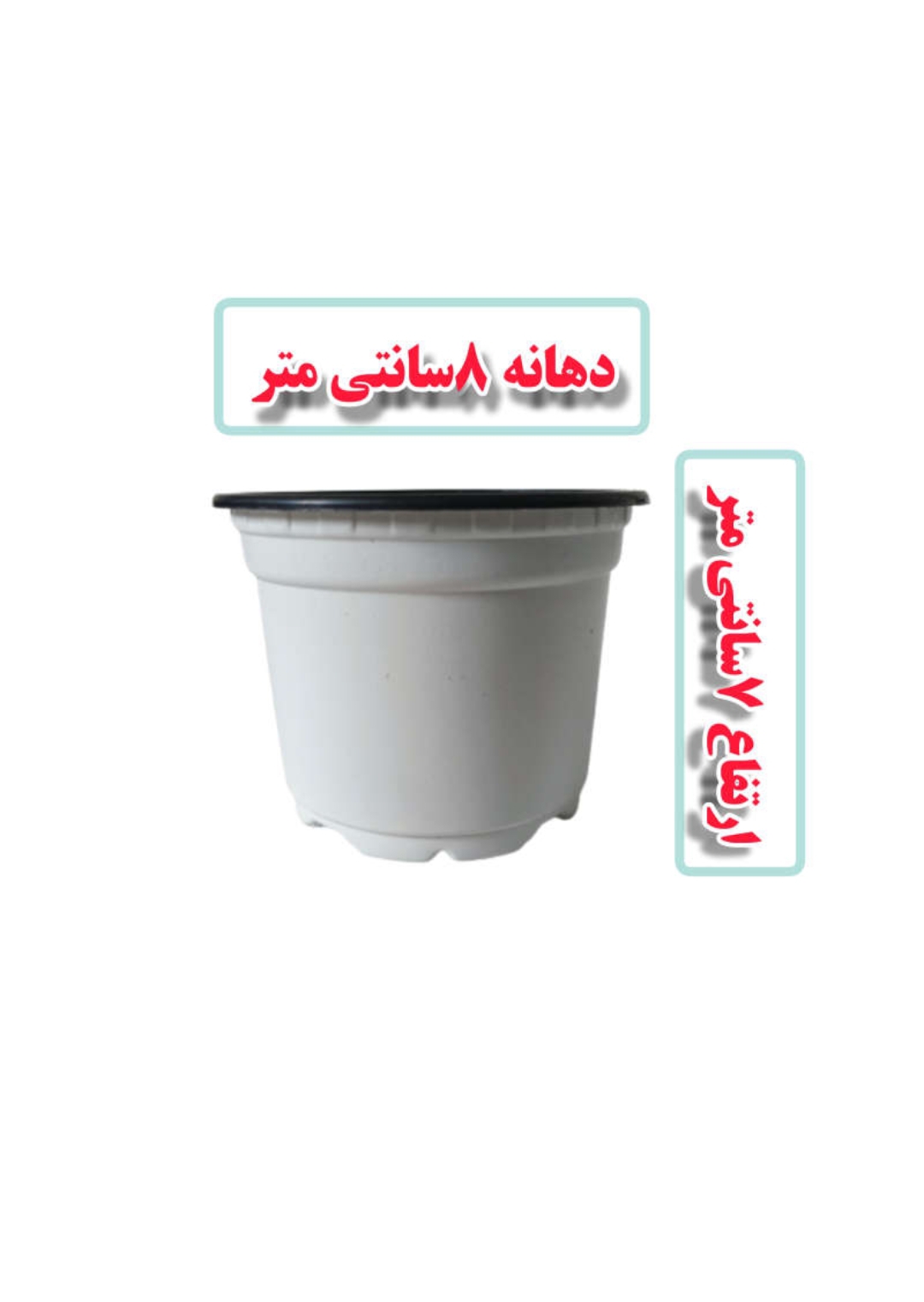 گلدان ژله ای سایز 8 بسته 50 عددی