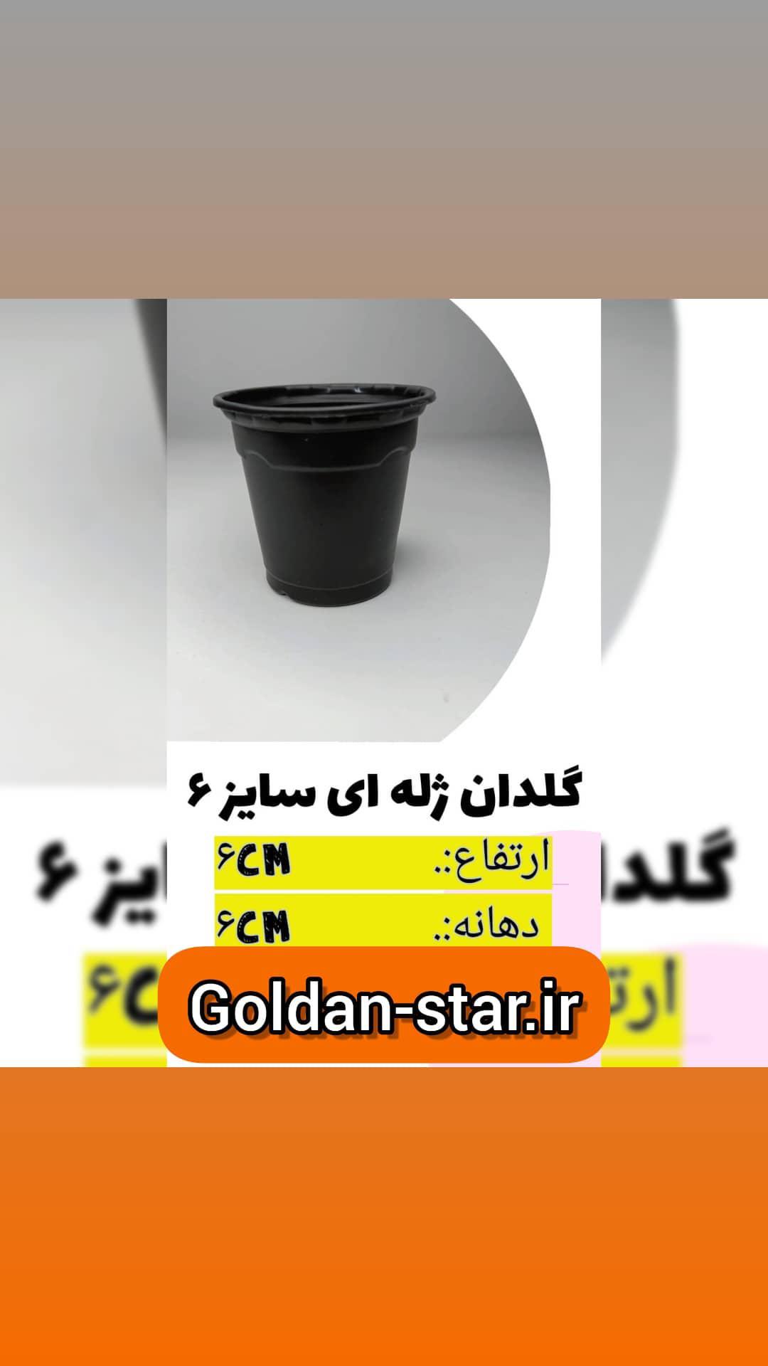 گلدان ژله ای سایز 6 بسته 50 عددی