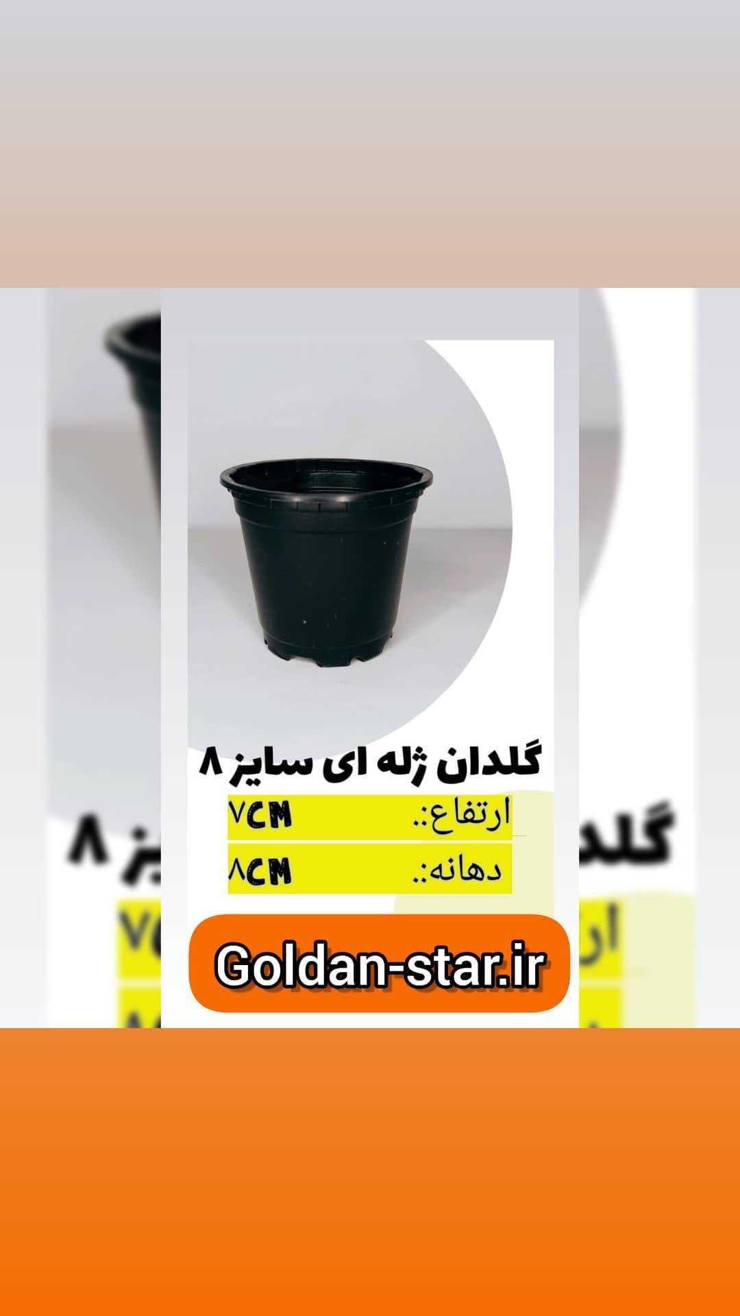 گلدان ژله ای سایز 8 بسته 50 عددی