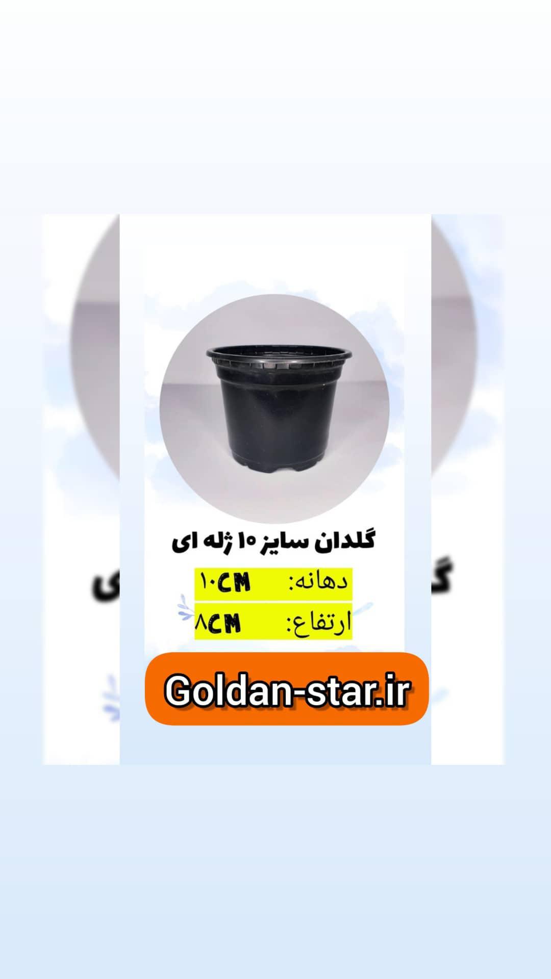 گلدان پلاستیکی ژله ای سایز10 پک 200 عددی مشکی