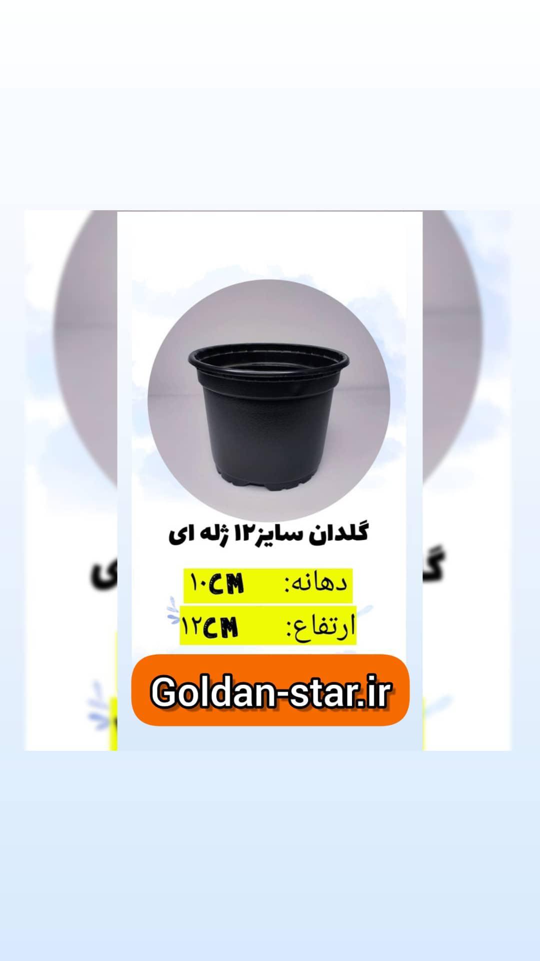 گلدان ژله ای سایز 12 بسته 10 عددی