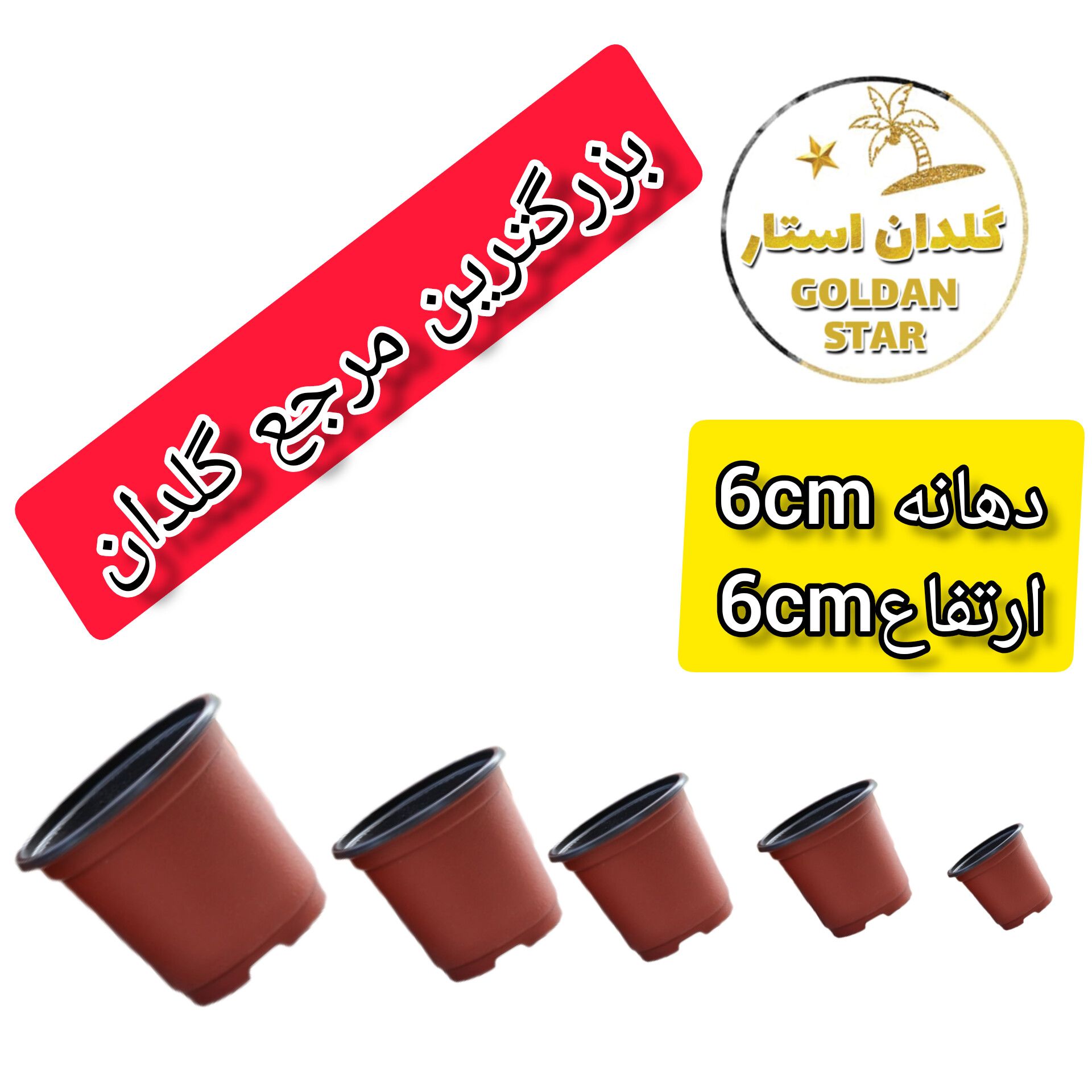 گلدان ژله ای سایز 6 بسته 50 عددی