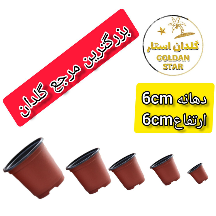 گلدان ژله ای سایز 6 بسته 50 عددی