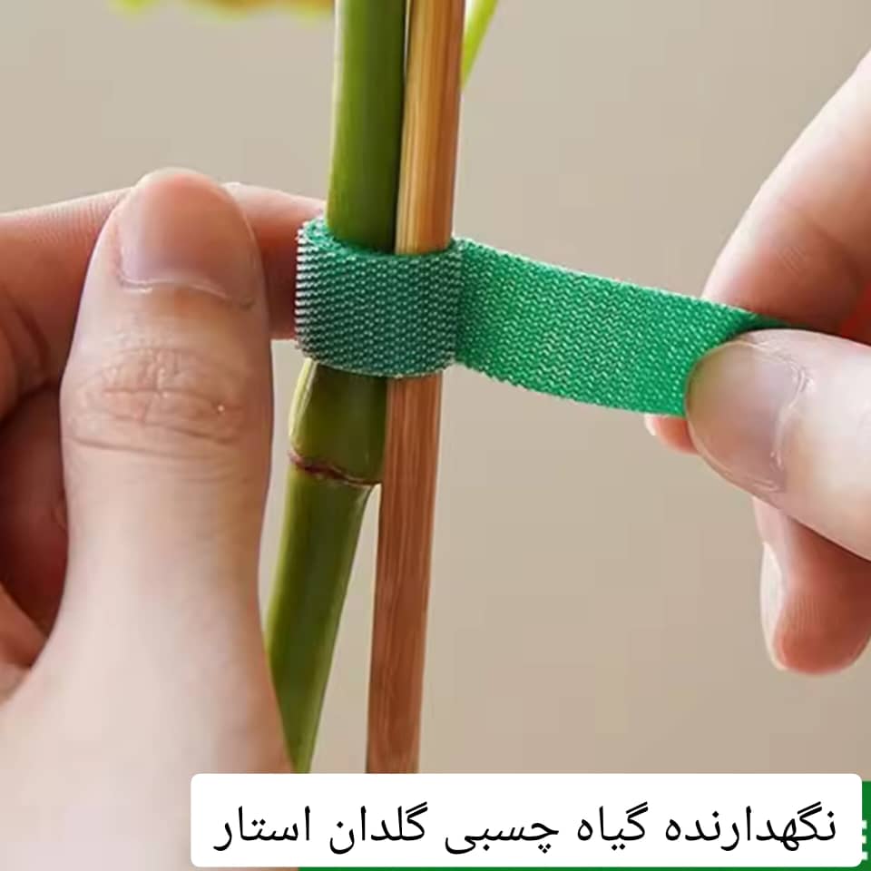 چسب نگهدارنده گیاه (نظم دهنده سیم)