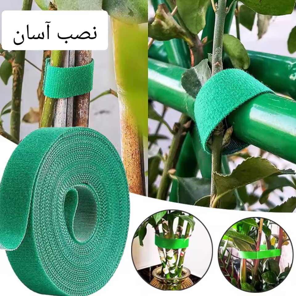 چسب نگهدارنده گیاه (نظم دهنده سیم)