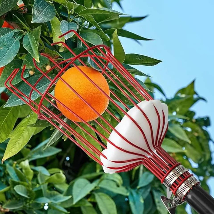 میوه چین مدل سبدی ( بدون دسته)