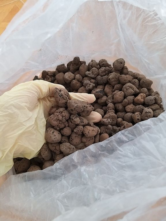 خرید لیکاپن برای هیدروپونیک