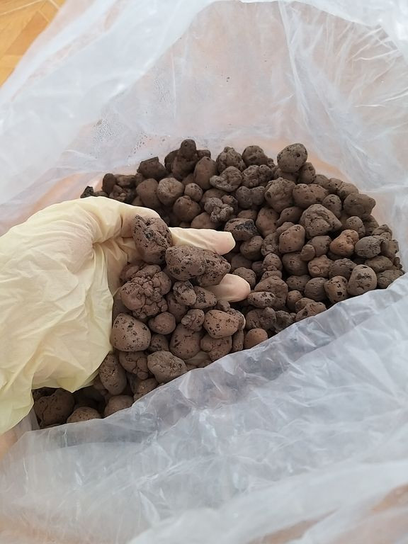 خرید لیکاپن برای هیدروپونیک