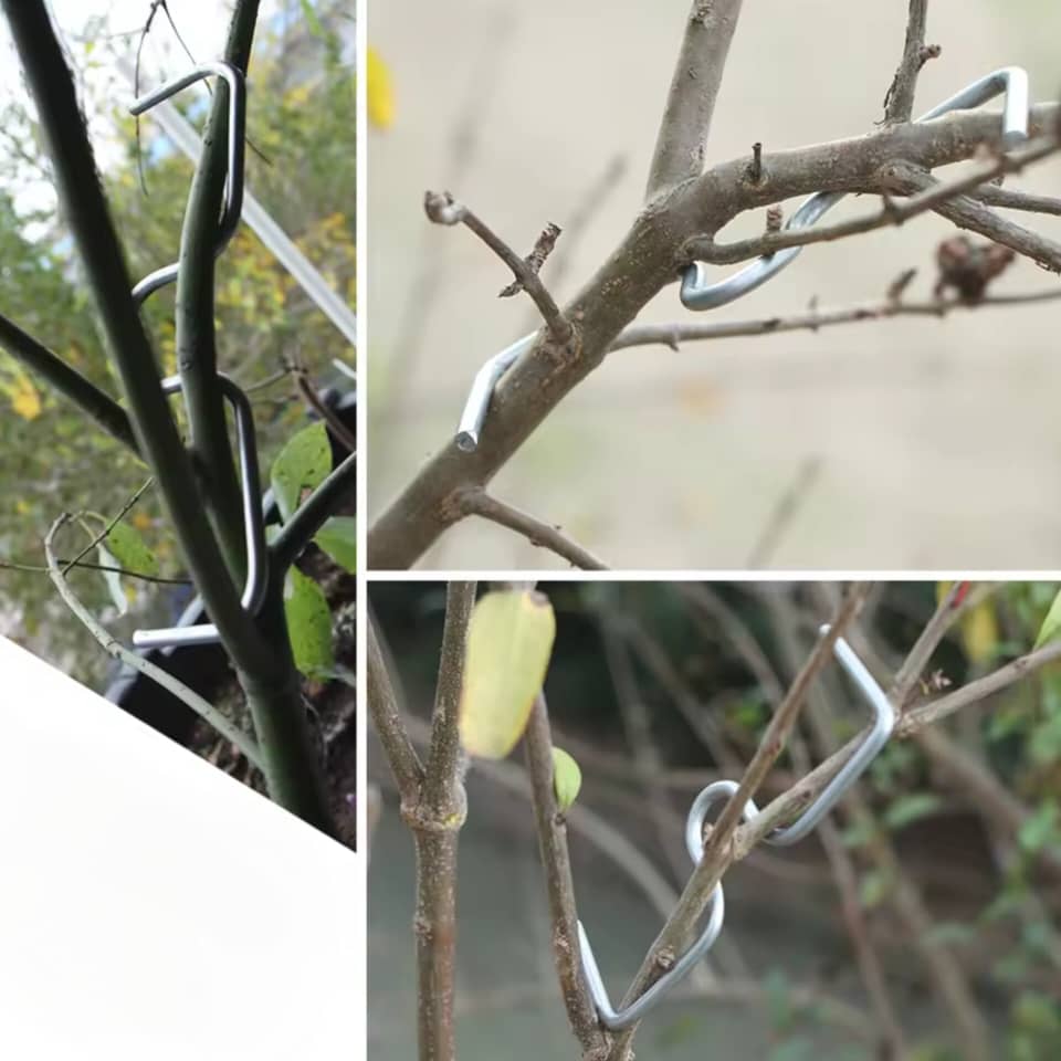 فرم‌دهنده شاخه گیاه