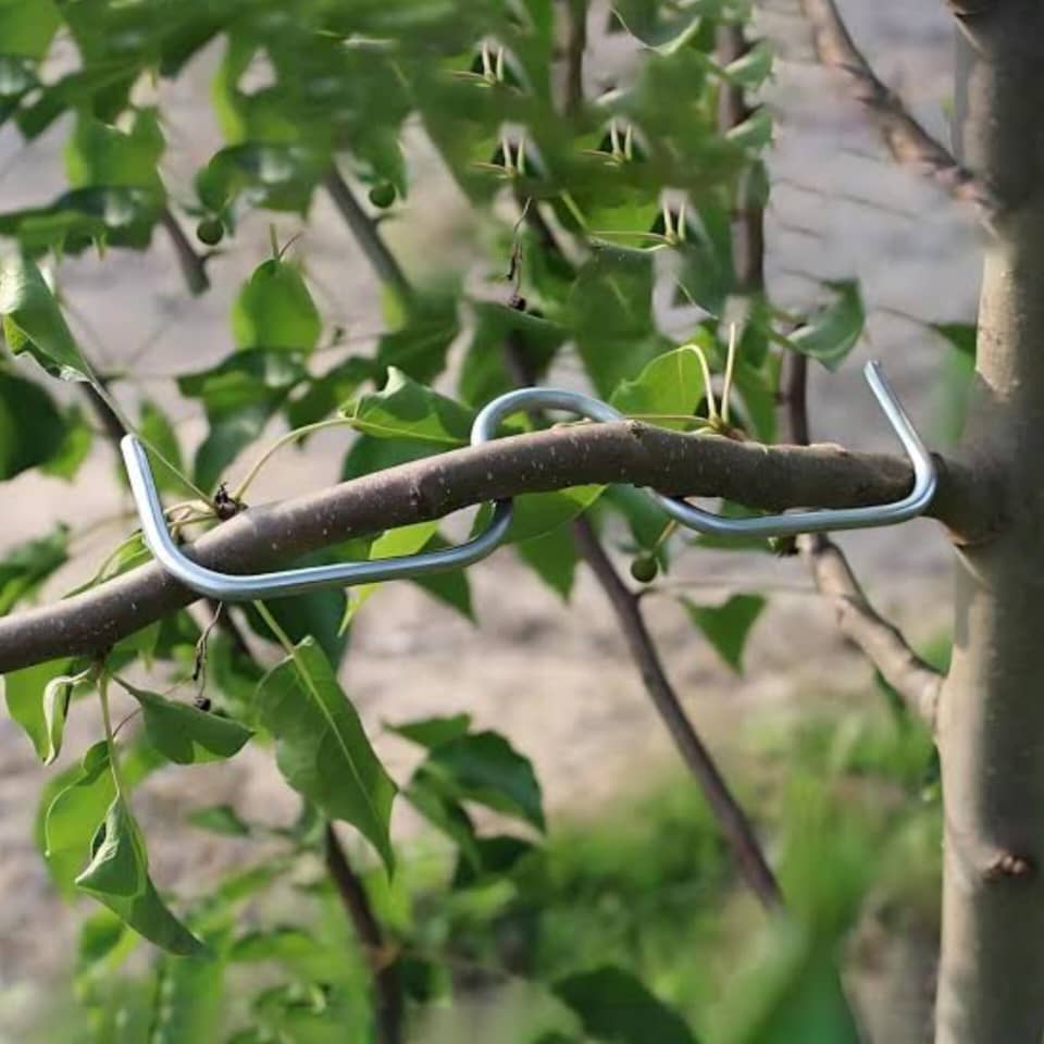 فرم‌دهنده شاخه گیاه