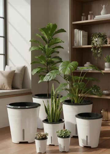 گلدان هیدروپونیک (شفاف)سایز9