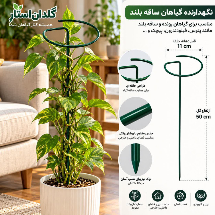 قیم نگهدارنده گیاهان ساقه بلند مدل حلقهای ارتفاع ۵۰ سانتیمتر