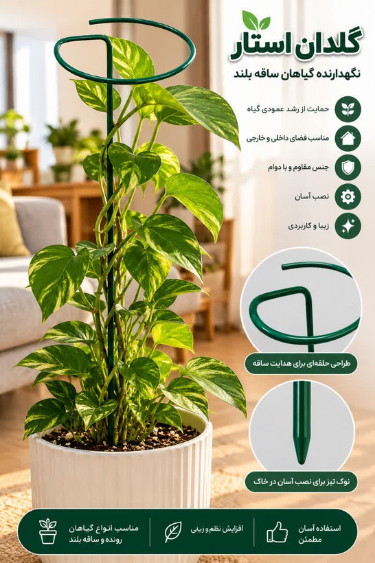 قیم نگهدارنده گیاهان ساقه بلند مدل حلقهای ارتفاع ۵۰ سانتیمتر